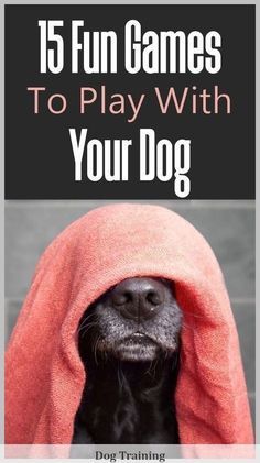 a dog with a towel on its head and the words 15 fun games to play with your dog