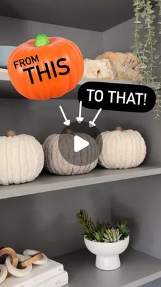 some pumpkins are sitting on the shelves and one is labeled from this to that