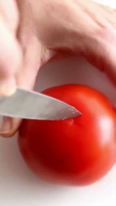 a person cutting a tomato with a knife