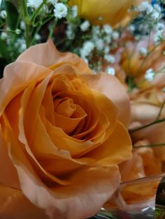 an orange rose is in the middle of a bouquet with white and yellow flowers behind it