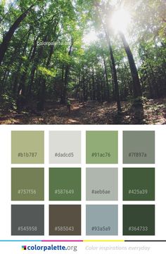 the color palette is green, brown and white with trees in the background that are all shades