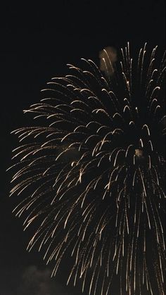 fireworks are lit up in the night sky with dark skies and clouds behind them,