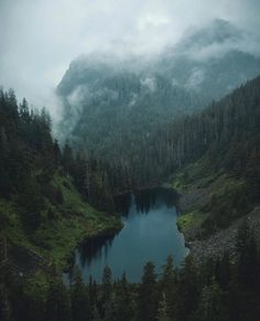 a lake surrounded by trees and fog in the mountains