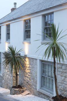 two palm trees in front of a white building with lights on it's windows