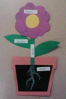 a flower is cut out from paper and placed in a pot on the wall with words written below it