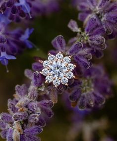 an image of a flower that is in the middle of purple and white flowers with diamonds on it