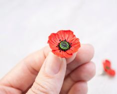 a person holding a tiny red flower in their hand