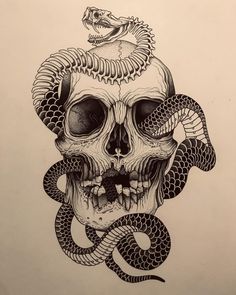 a drawing of a skull with a snake on it's head and two snakes crawling around