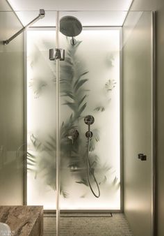 a glass shower stall with plants on the wall and light coming in from behind it