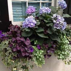 purple and green flowers are growing in a window box on the outside of a house