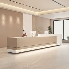 an empty reception area with two desks and a plant on the counter in front of large windows