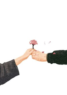 two people reaching out to each other with their hands holding a pink flower in front of them