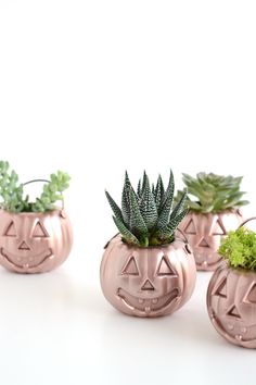 four pumpkin shaped planters with plants in them