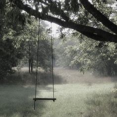 a swing hanging from a tree in the middle of a field