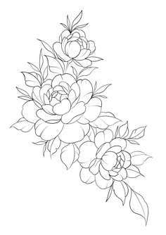 a line drawing of flowers with leaves on the top, and bottom part of it