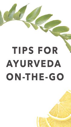 If you're having trouble finding the time or resources to incorporate #Ayurveda into your daily life, here are a few easy ingredients and practices you can include in your busy lifestyle! Digestive Cleanse, Retreat Activities, Spring Allergies, Natural Diuretic