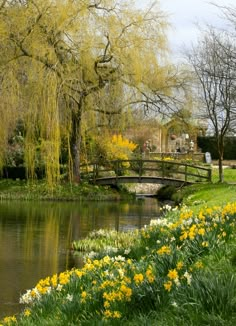 a bridge over a river with yellow flowers in the foreground and green grass on the other side