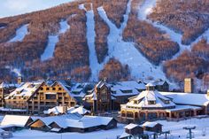 an aerial view of a ski resort in the mountains with snow on the ground and trees