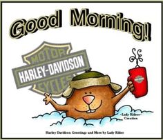 an image of a cartoon bear holding up a sign that reads good morning harley davidson