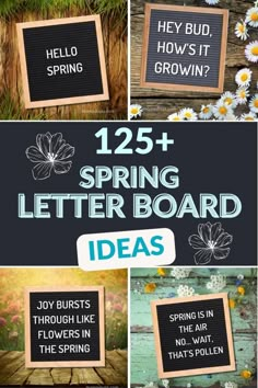 different types of flowers and plants with the words, 25 spring letter board ideas