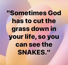 an image with the words sometimes god has to cut the grass down in your life, so you can see the snakes