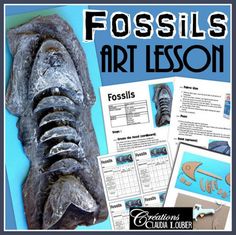 fossiles plan de cours aris plastiques with pictures and instructions