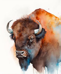 a watercolor painting of a bison with long horns