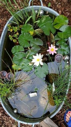 a metal pot filled with water lilies and plants