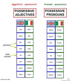 two different types of words that are in english and spanish, with the same language