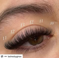 Lashes Mapping, Different Lashes, Lash Cluster