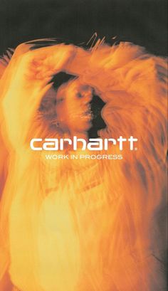 the cover of caribart's work in progress album, with an image of a lion