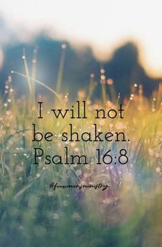 grass with the words i will not be shaken, palm168