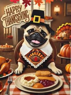 a pug dog sitting at a table with thanksgiving food