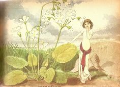 an illustration of a woman standing in the grass next to flowers and plants with leaves on them