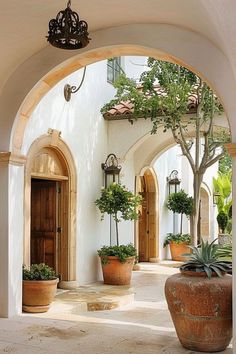 an archway with potted plants on either side