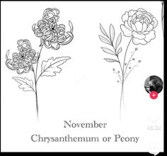 two flowers with the words november, chrysanthemum or peony