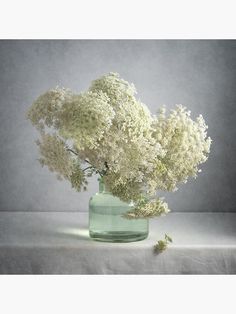 a vase filled with white flowers on top of a table