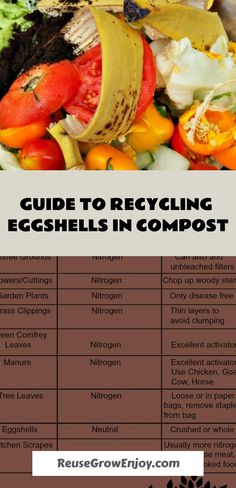 Illustration for a guide to recycling eggshells, outlining their garden use for nitrogen-rich compost and as a natural pest deterrent. What To Compost, How To Start Composting, Composting Food Scraps, Start Composting, How To Compost, Chicken Poop, Composting Process, Soil Testing, Paper Tree