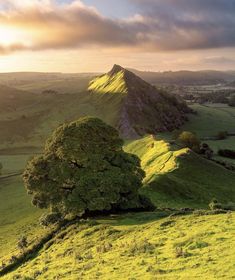 the sun is shining on green hills and trees