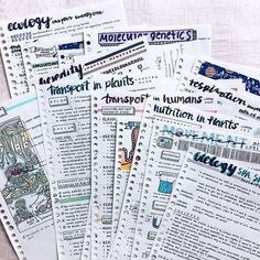 several pages of paper with different types of writing on them, all lined up together