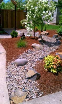 a garden with rocks and plants in it