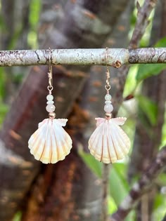 two seashells hanging from a tree branch with beaded earring hooks on them