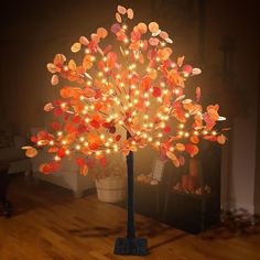 a lighted tree with lots of leaves on it