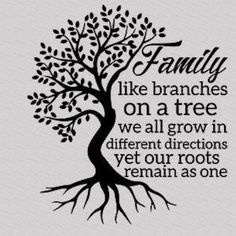 a tree with the words family like branches on a tree we all grow in different directions yet our roots remain as one