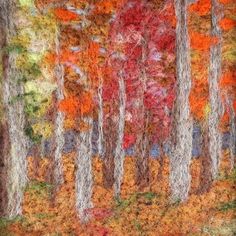 an abstract painting of trees in autumn