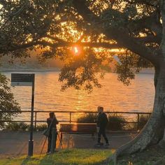 two people standing under a large tree near the water at sunset, with one person holding a camera