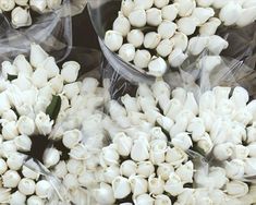 white flowers are wrapped in plastic bags for sale