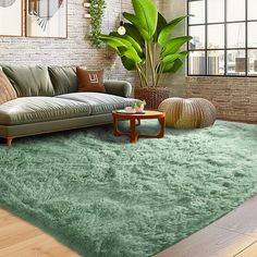 a living room filled with furniture and a green rug