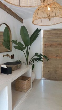 a bathroom with a plant and two sinks