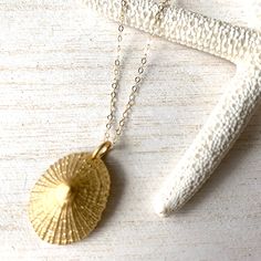 Opihi Necklace, Small Hawaiian Shell Necklace (14k Gold over Sterling Silver) - Debby Sato Designs Hawaiian Plants, Necklace Shell, Crashing Waves, Ocean Lover, Shell Necklace, Shell Jewelry, Shell Necklaces, Star Necklace, Quality Jewelry